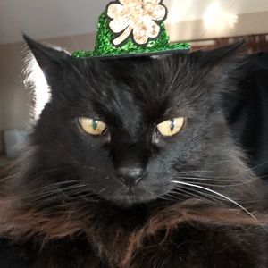 Meet your Posher, Meredith